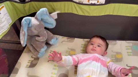 Dimple Kyle Peek A Boo Elephant Toy, Interactive Singing Stuffed Elephant Plush with Moving Ears, Musical Stuffed Animal for Babies and Toddlers, Adorable Baby Toy