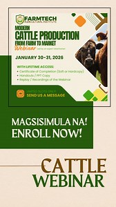 Modern Cattle Production: From Farm to Market at 7pm! Led by an expert Veterinarian! #cattlefarming #cattleproduction #FarmtechWebinars #ModernFarming #agribusiness #AgriWebinar | Philippine Agricultural Webinar