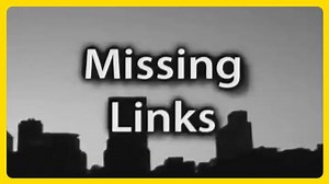 "9/11: Missing Links" (2008)