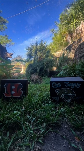 🐆🏈 Babette’s got her pick in… do you? 👀 The Jags may be on the road, but we’ve got the second-best seat in town, right on the water at the Zoo! Watch the Jaguars take on the Bengals in their first away game of the season, live at the Watering Hole. Wear your Jags gear score: 🥤 10% off food & non-alcoholic drinks OR 🍿 Free snack-size popcorn 📍 The Watering Hole 📅 Sunday, Sept 14 | ⏰ Kickoff at 1 p.m. | Jacksonville Zoo and Botanical Gardens