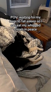 850K views · 30K reactions | i wish they responded to their names like this…#Husky #Puppy #FunnyDogs ￼ | Levi the Husky Rescue | Facebook