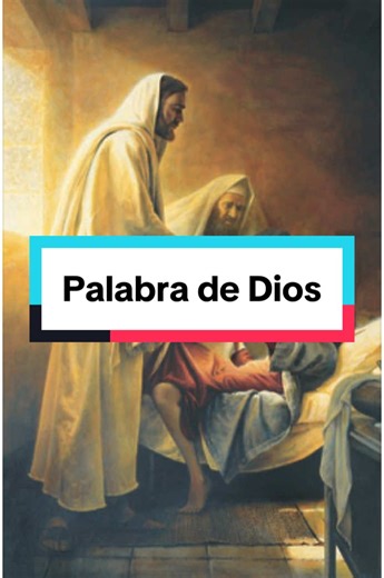 Xavier Ortiz Lea on TikTok