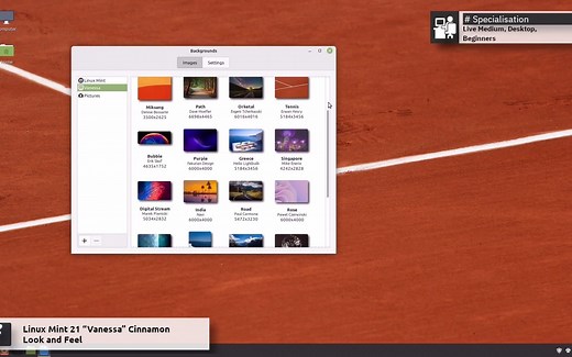 Linux Mint 21“凡妮莎”概览---圆滑，现代，创新