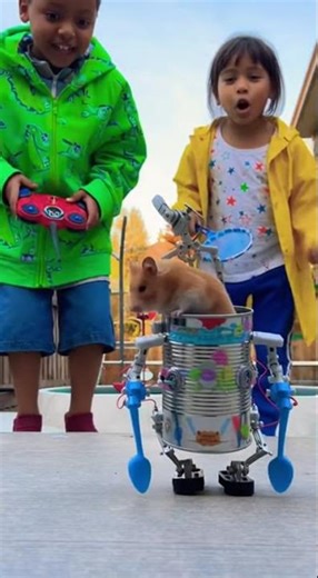 Hamster Robot Unleashed! Kids' DIY Project Takes an Unexpected Turn! #Shorts #Funny
