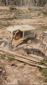 242K views · 2.3K reactions | One minute of raw bulldozer sounds of trees snapping as they are torn out of the ground from the D7 and D6 bulldozer pulling the huge anchor chain behind them #heavyequipment | Ifilmiron | Facebook