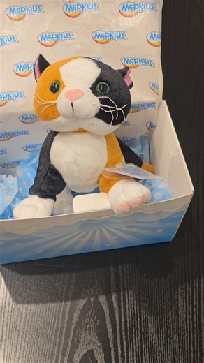 Unboxing all the goodies in our @webkinz Influencer Box! Which item is your favorite? Are you a Webkinz creator & would love the opportunity to work with us? 👉 DM us or tag a friend who should join the Webkinz creator family! . . . . . . #webkinz #webkinz20 #webkinzlove #webkinzplush #webkinzworld | Ganz