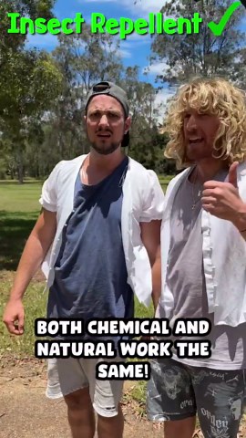 Does Insect Repellent Really Work