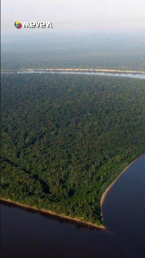 El río Orinoco, uno de los ríos más grandes y caudalosos de América del Sur