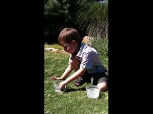 Ode to blucollection and Cars 2 toys