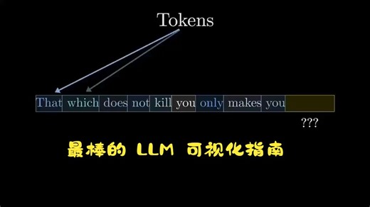 AI - 最棒的 LLM 可视化指南-打破认知壁垒，读懂AI思考