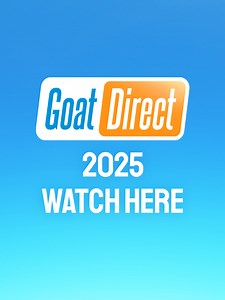 Exploring the World of Goat Simulator
