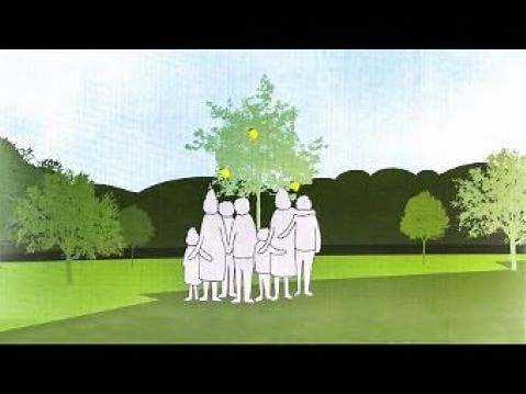 Don't bury or cremate — soon you may compost your corpse | CBC Radio