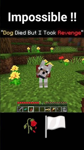 Bro Thought I Died #minecraft #revenge #infinitycastle