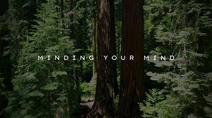 There are 10 unhelpful thinking styles, often referred to as...