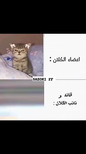 حقيقة ✌️🥶 . . . #1vs4freefire #freefiremax #fypシ #frerfiretiktok #freefireedit #freefireshare #فريفاير #freefirelive #FreeFireTH #freefireid #رمضان #المغرب #تيكتوك #ترند #FreeFire #freefiregame #freefiretrend #moroco #edit #montag #game #live #Tiktok #sazoki #سازوكي_شراكة #sazoki_ff_شراكة | سازوكي/SAZOKI FF