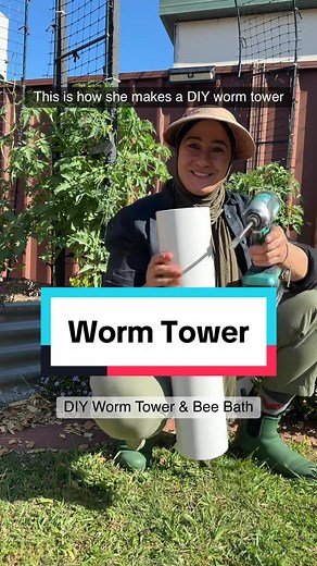 The Compost Coach on TikTok