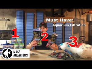 My Top 3 MUST HAVE Filtration Products for Crystal Clear Aquarium Water