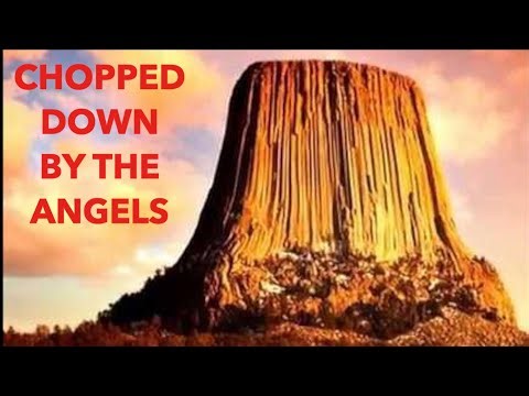 The World That Then Was: The Petrified Trees