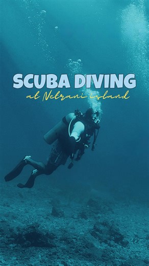 JalaParva | ಜಲಪರ್ವ | Travel Experiences on Instagram: "Like a legend from “ಒಂದು ಮುತ್ತಿನ ಕಥೆ - Ondu Muthina Kathe”, Netrani Island holds secrets beneath the surface. Dive in and uncover its marine wonders! [scuba diving, Netrani island, Jalaparva, Scuba, Netrani] . . . . . . . #Jalaparva #NetraniIsland #ScubaDivingTrip #ScubaWithJalaparva #BangaloreToNetrani #UnderwaterAdventure #WeekendGetaway #DivingDiaries #ExploreKarnataka #AdventureWithJalaparva #NetraniDive #MarineMagic #scubagoals #oceanca