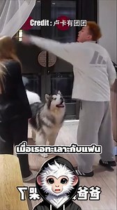 887K views · 30K reactions | เมื่อทะเลาะกันหมาของเธอจึงทำแบบนี้ | Fast Facts | Facebook