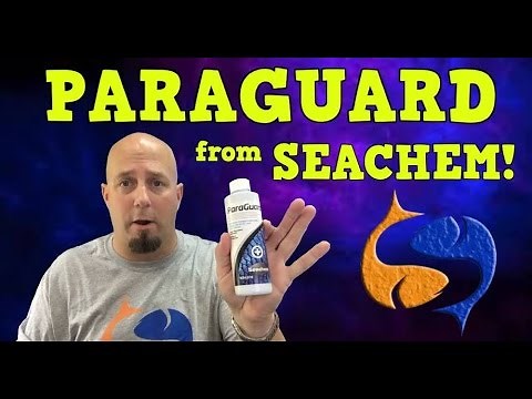 Seachem Paraguard Product Spotlight!! KGTropicals!!