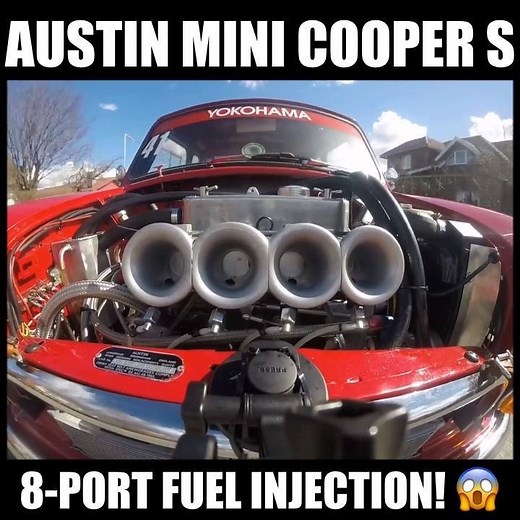 1.4M views · 17K reactions | Wait for it....   Credit: Magnus Møller Jensen | The Daily Mini | Facebook