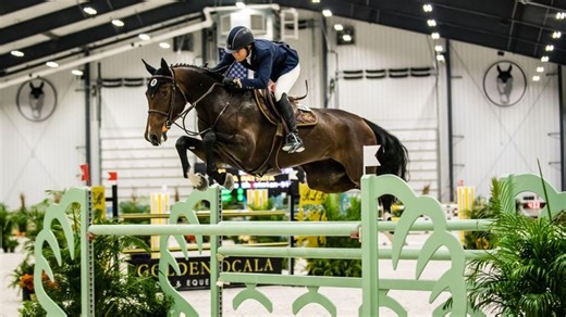 Walk Trot Equitation Ground Rails 4", Walk Trot Equitation Ground Rails Flat - World Equestrian Center Ohio Fall Classic 1 - 2025 | Videos, Live Streams, Films and Shows | ClipMyHorse.TV