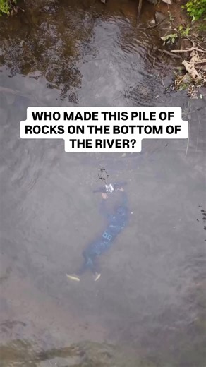 This little engineer gets a free pass for rock stacking. Can you name the species? Drop your guesses in the comments! ~ "I wanted to showcase the diversity of life that often goes unnoticed in freshwater streams and rivers of the Southeast. The river chub is a keystone species for these environments as the mounds they build every spring support the reproductive efforts of dozens of other minnow species.” ~ Head to https://shorturl.at/MNFk5 to check out the full Reel of the Week! ~ 📹: @josephric
