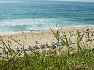 Secuencia 1: Primeros pasos (premiers pas)