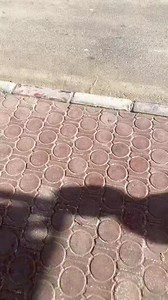 115K views · 306 reactions | ضغط قوي واقبال كبير علي جامعة سوهاج الاهلية | Sohag Luster | Facebook