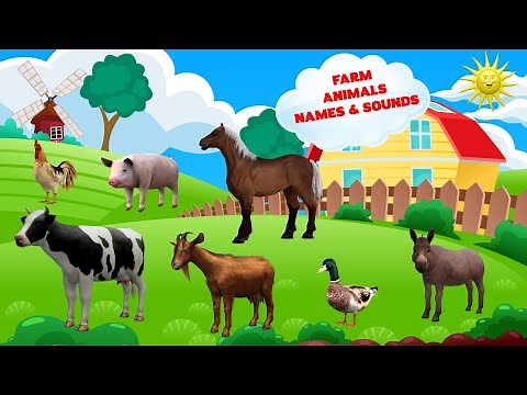 Learn Farm Animals Name and Sound - Animal Sounds for Kids - Farm Animals Sounds