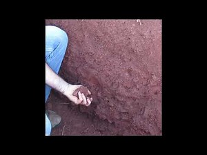 Perry County Land Judging Soil Evaluation Demo Pit Video