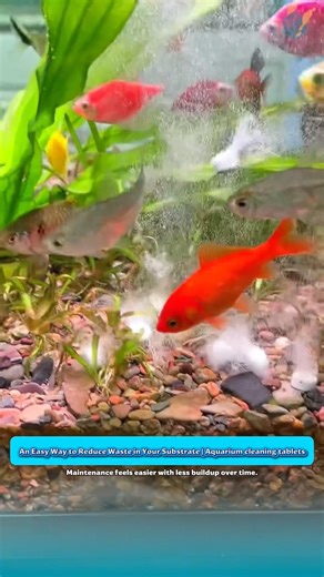An Easy Way to Reduce Waste in Your Substrate | Aquarium cleaning tablets