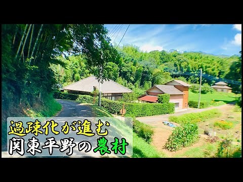 過疎地域の田舎町の風景「懐かしさのある風景」「神秘的な神社」【田舎風景・田舎散歩】