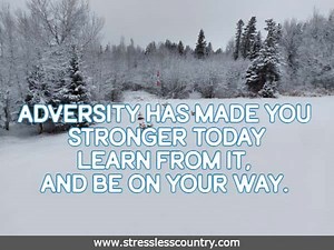 7 Adversity Poems, Short Poems & Quotes