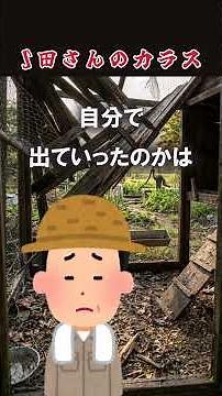 カラスが集まる畑～近所の人から聞いた不思議な話【怪談ショート】#怖い話 #怪談朗読