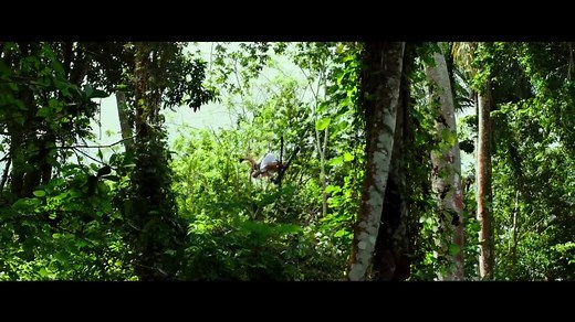 EXCLUSIVE FIRST LOOK AT THE COMPLETE TRAILER FOR XXX: RETURN OF XANDER CAGE!!! WOW!!! | Vin Diesel