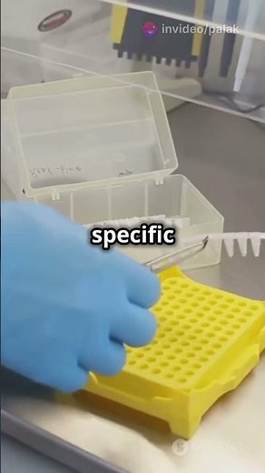 What is ELISA test ?