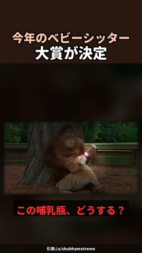 今年のベビーシッター大賞が決定