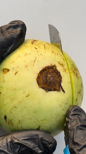 Amazing fruit cutting design | Fruitninja007