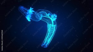 Female Reproductive System with Nervous System and Urinary Bladder Anatomy. Animation concept. Digital hologram 3d model.