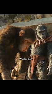 This king has been defeated 😳 🎥 Rіse Of Thе Planet Of The Apеs 👉 https://www.instagram.com/letstalkmovies.co/ | Let's Talk Movies