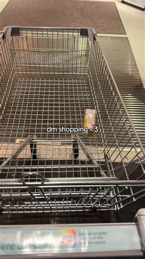 Discover the Best DM Shopping Haul