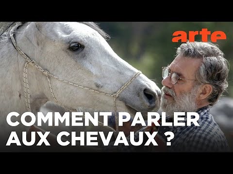 Oscar ou l'art d'apprivoiser les chevaux | 360° Reportage | ARTE Évasion