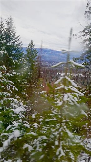 ✨ JUST LAUNCHED: Scenic Snowcat Tours — Available NOW! ✨ Climb aboard a cozy, heated snowcat, and journey deep into the Northern Rockies for a true winter backcountry experience - no skis required. 🌲 Glide through remote forests 🏔️ Pause in open meadows and alpine viewpoints 📸 Plenty of time for photos, fresh mountain air, and soaking it all in This relaxed 2-hour tour is perfect for families, couples, photographers, and anyone wanting to experience winter wilderness without the physical dema