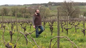 France's cognac makers, buffeted by trade wars, reel from Trump's tariffs