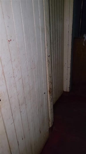 #zimtiktokers🇿🇼🇿🇼🇿🇼 #Zim Sons Be Like🤣🤣