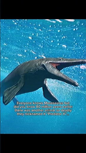 Predator X was a species of pliosaurid plesiosaur #oldearth #dinosaur #jurassicworld
