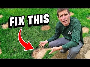 Easy Ways to Repair a Dead or Bare Spot in the Lawn