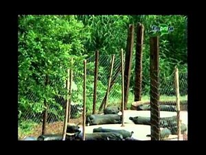 EMBRAPA - Fossa Séptica Biodigestora e Clorador - Saneamento básico na área rural